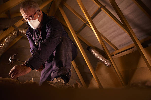 Best DIY Insulation Kits and Guidance in Jamestown, NC